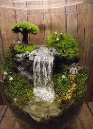 Add plants and marimo moss balls. 55 Indoor Water Garden Ideas Indoor Water Garden Water Garden Garden