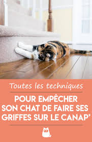 Les chats se font les griffes non seulement pour les entretenir, mais aussi pour marquer leur territoire en laissant une marque visible et olfactive. Empecher Un Chat De Faire Ses Griffes Sur Le Canape Repulsif Chat Maison Chat Astuces Pour Chat