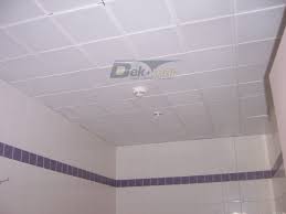 Banyo Asma Tavan Banyo Tavan Banyo Tavanlari