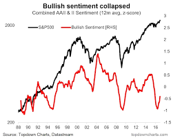 Investor Sentiment Charts Worked Wonders In 2016