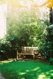 Notting Hill London Beautiful Gardens Backyard Garden Garden Photography