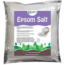 Eucalyptus epsom salt (1 gallon bucket) by earthborn elements, infused with eucalyptus essential oil, fight colds, foot soak, natural decongestant, aromatherapy. Organicways Epsom Salt For Plants And Gardening Magnesium Sulfate 900 G Buy Online In United Arab Emirates At Desertcart Ae Productid 64769320