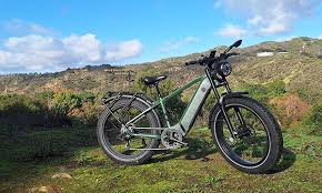 Is a 750 Watt Ebike Powerful Enough? | Heybike – Heybike CA