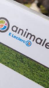 Brico Jardi E Leclerc Ambares Et Lagrave Bricolage Outillage Adresse Avis
