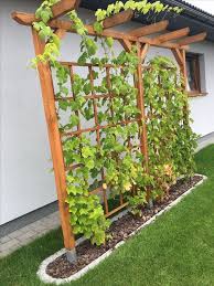 Pflanzenrankgitter Mit Bildern Pflanzenrankgitter Garten Hochbeet Gartengestaltung Ideen
