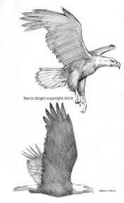 Bald Eagle Black And White Drawing Bald Eagles 02 Egale Drawing Eagle Drawing Bird Drawings