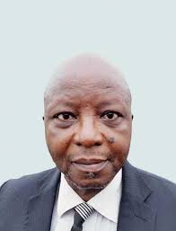 Professional Accounting Team