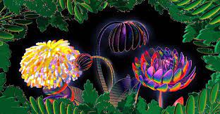 For those who do not believe plants have consciousness, this should be an awakening. Music For Plants Bandcamp Daily