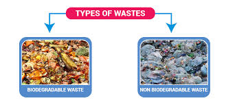 Waste Types Of Waste Sources Of Waste Recycling Of Waste