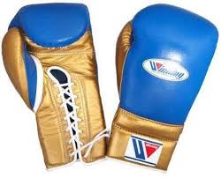 We are the world's only exclusive high quality custom boxing gloves and gear provider. Winning Boxing Gloves