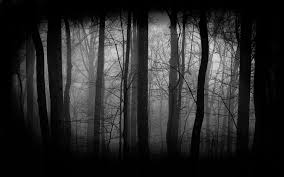 Black Dark Forest Wallpapers Top Free Black Dark Forest Backgrounds Wallpaperaccess Get yours from +1,000 possibilities. black dark forest wallpapers top free