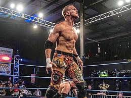 Brock lesnar and tyson fury lead the list of highest paid wwe wrestlers 2020. Pro Wrestler Sam Adonis Is No Longer A Fat Kid From Monroeville Pittsburgh Post Gazette