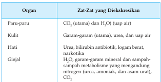 Erudio Scientia Biology Indikator 19