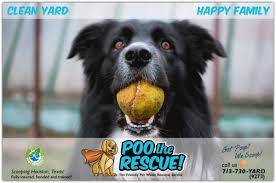 Pet waste removal companies near me. Poo The Rescue Pootherescue Twitter