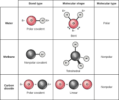 Difference Between Polar And Nonpolar Molecules Definition Formation Properties Examples Covalent Bonding Study Chemistry Covalent Bonds