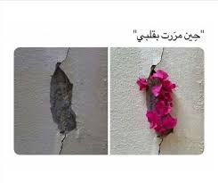 pin on صور تتكلم