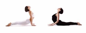 The Difference Between Upward Facing Dog And Cobra Pose Cobra Pose Upward Facing Dog Upward Facing Dog Pose