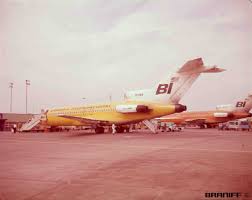 Image result for Yellow 1968 Fleet
