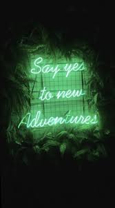 Wallpaper Blue Green Aesthetic Iphone Lion Nature Green Aesthetic Dark Green Aesthetic Green Pictures