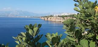 Transport gratuit >90 lei si livrare rapida. O Saptamana De Reduceri Speciale Pentru Vacanta De Vara La Paralela 45 Cu Ocazia Targului De Turism Ziaruldegarda Ro Ziaruldegarda Ro