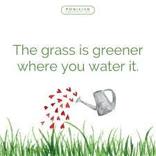 The Grass Is Greener Where You Water It Just Water It Green Quotes Mental Strength Quotes Journal Quotes