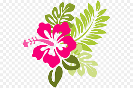 Fiore Hawaiano Clip Art Hibiscus Cartoon Scaricare Png Disegno Png Trasparente Ibisco Png Scaricare