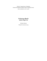 Relazione Finale Anno Di Prova Stefano Maroni By Stefano Maroni Issuu