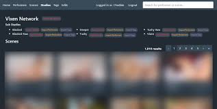 Long-Term Stash Project Planning: Strategy and Growth · stashapp stash ·  Discussion 1800 · GitHub