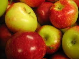 Bowl Or Fridge How To Best Store Your Apples Tuttle