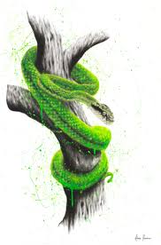 Australian Artist Ashvin Harrison Abstract Realism Paintings Snake Painting Snake Art Snake Drawing