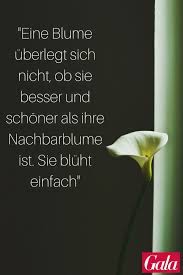 Check spelling or type a new query. Pinterest Zitate Kleine Lebensweisheiten Und Spruche Gala De