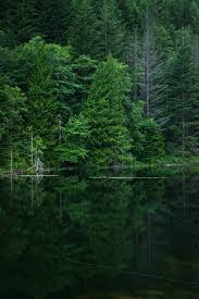We have an extensive collection of amazing background images carefully chosen by our community. Green Wallpapers Free Hd Download 500 Hq Unsplash