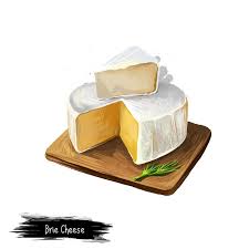 Brie Cheese With Rosemary Digital Art Illustration Isolated On White Background Fresh Dairy Product Healthy Organic Food In Stock Illustration Illustration Of Meal Delicatessen 183828845