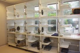 It's located in a quiet neighborhood, yet convenient to the new this cat hotel's mission is to treat your pet royally by providing the most comfortable accommodation. Cat Boarding In Frederick Maryland Md Pet Resort Animal Hospital