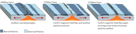 Magnetics Polarity Dive Discover