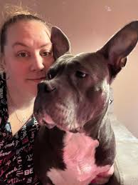 Hey all! What are some safe neighborhoods for young single women in  Charlotte? I need to be around green areas/parks/walking trails for my pups  :)