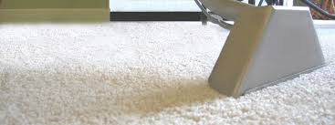 Hicare specializes in services like pest control, home cleaning, bird netting and air purifier across india. Carpet Cleaning Pest Control Caboolture And Brisbane North Areas