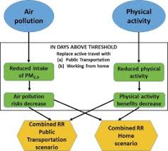 Along with harming human health, air pollution can cause a variety of environmental effects: The Long Term Impact Of Restricting Cycling And Walking During High Air Pollution Days On All Cause Mortality Health Impact Assessment Study Sciencedirect
