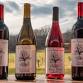 October Wine Club Pick Up Party