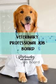 Veterinary Job Board Job Search Veterinary Care Logistics Veterinary Care Veterinary Vet Assistant