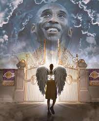 We did not find results for: Kobe Bryant T Shirts Kobe Bryant Wallpaper Kobe Bryant Kobe Bryant Family
