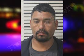 Eric Carreno — Toombs County Jail Bookings