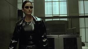 Image result for trinity matrix