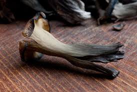 We did not find results for: Come Cucinare Trombette Dei Morti Cucinarefunghi Com