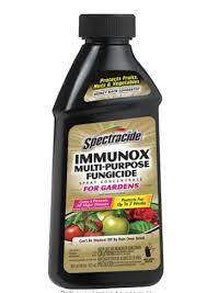 Daconil fungicide concentrate is a highly effective fungicide for tomatoes and not only. 10 Best Fungicides For Tomatoes Of 2021 Reviews Top Picks