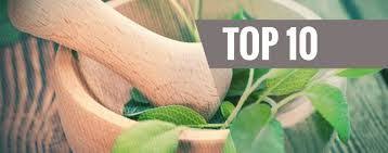 Top 10 Des Pouvoirs Spirituels Et Theurapetiques Du Roi Des Herbes Recherche Google 10 Things