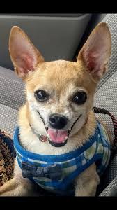 Today is National Kelly Day 🥰 A perfect day to let all of the Kellys and  Kels in your life know just how amazing they are