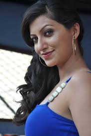 Hamsa Nandini Spicy Images