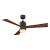 Large Ceiling Fan