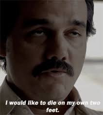 Pablo emilio escobar gaviria was a colombian drug lord and narcoterrorist who was the founder and sole leader of the medellín cartel. Pablo Escobar Gif 5 Gif Images Download